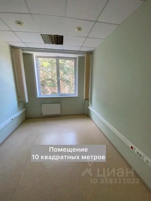 Офис в Новосибирская область, Новосибирск Академгородок мкр, просп. ... - Фото 1