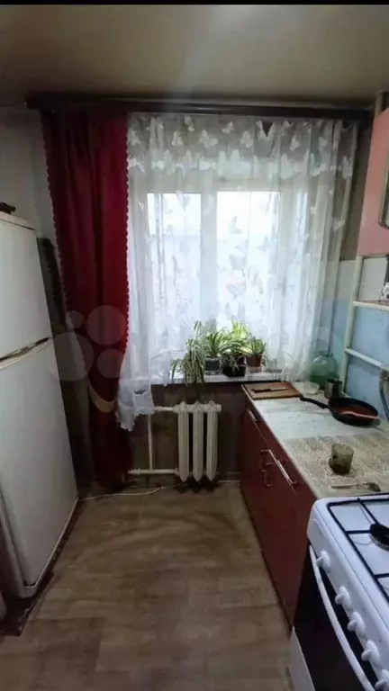 1-к. квартира, 31 м, 3/5 эт. - Фото 1