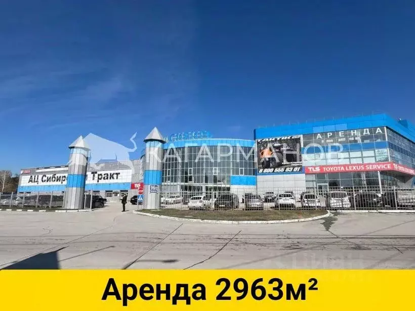 Помещение свободного назначения в Новосибирская область, Новосибирск ... - Фото 0