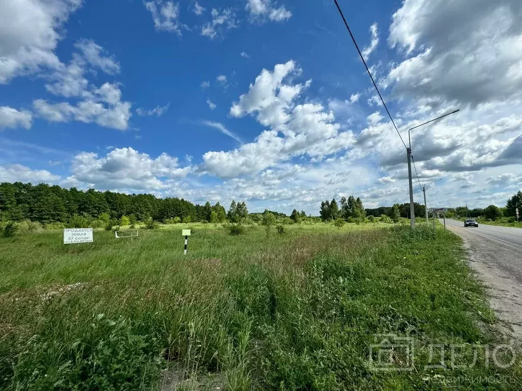 Участок в Рязанская область, Скопин городской округ, д. Гуменки ул. ... - Фото 1