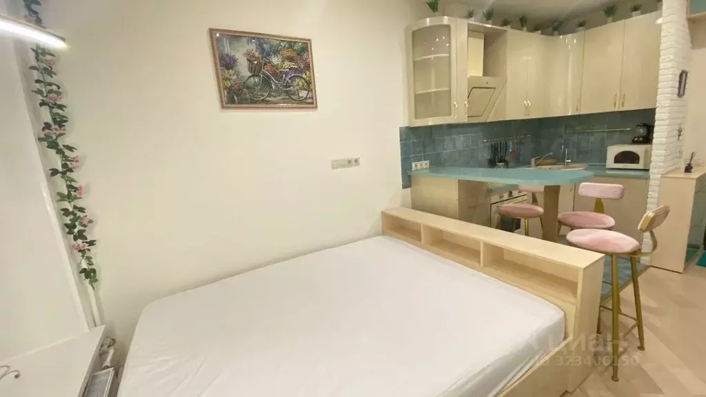 Студия Санкт-Петербург ул. Яблочкова, 2 (25.0 м) - Фото 1