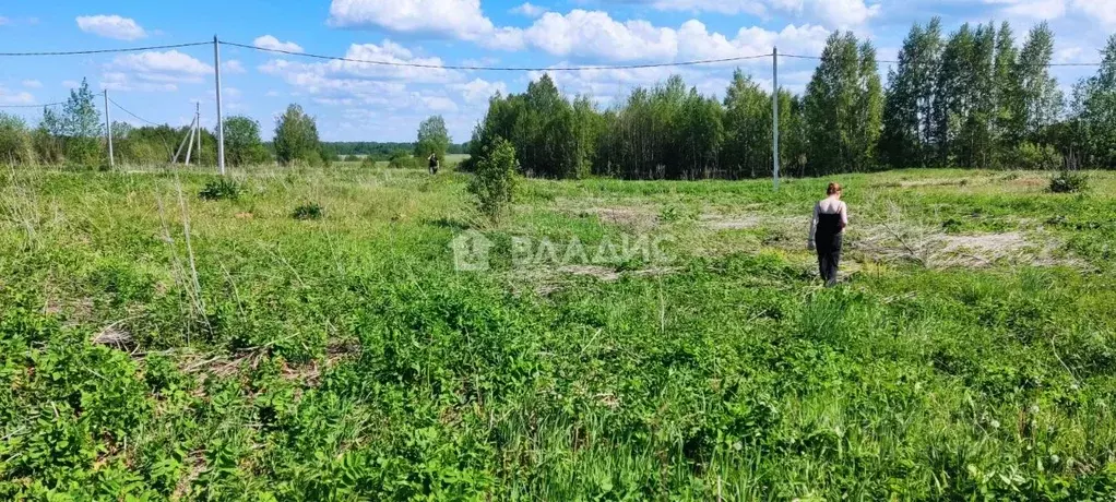 Участок в Марий Эл, Йошкар-Ола городской округ, д. Шоя-Кузнецово  ... - Фото 1