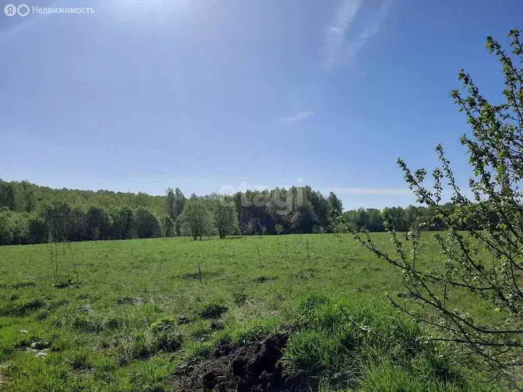 Участок в Ферзиковский район, сельское поселение Красный Городок, ... - Фото 0