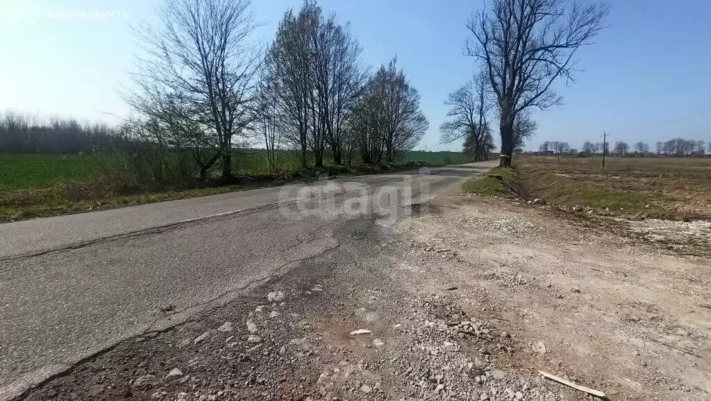 Участок в Калининградская область, Гурьевский муниципальный округ, ... - Фото 2