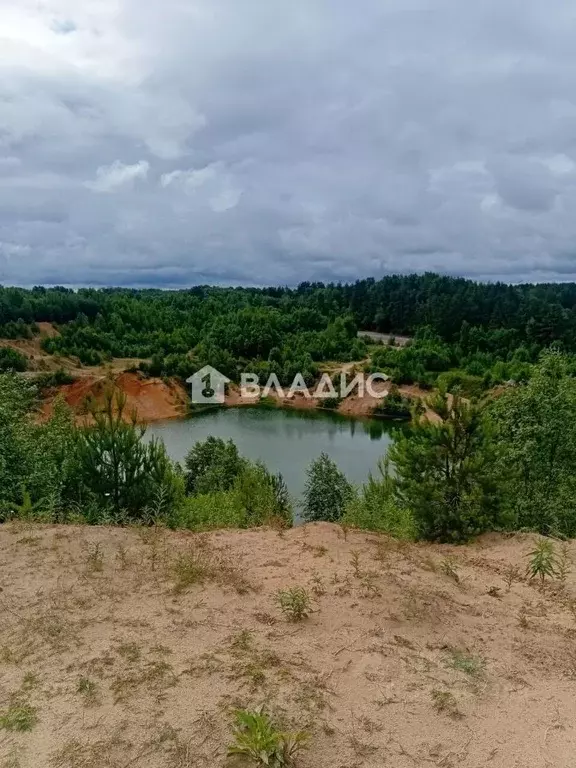 Участок в Ленинградская область, Всеволожский район, Лесколовское ... - Фото 1