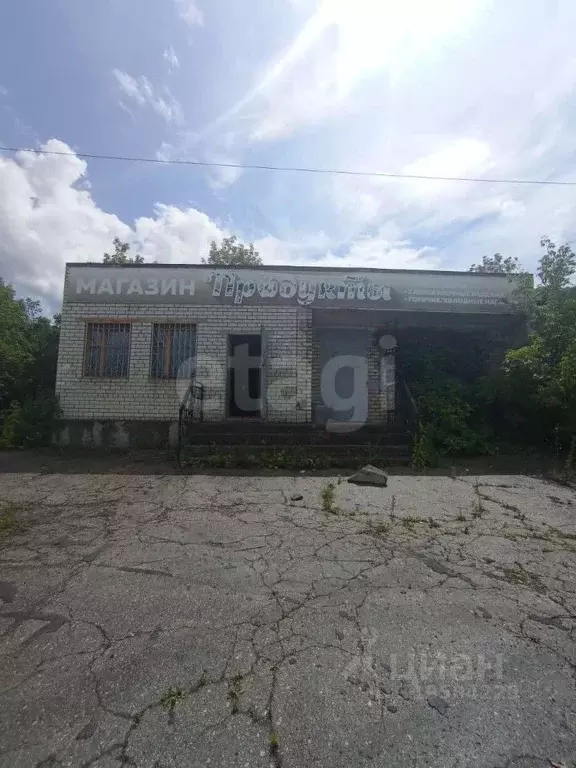 Торговая площадь в Самарская область, Жигулевск городской округ, с. ... - Фото 0