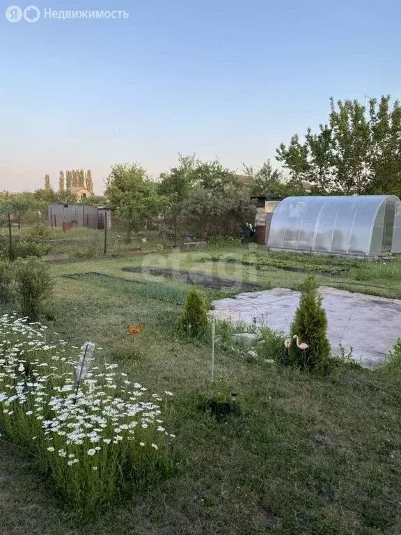 Дом в Воронеж, СНТ Вега-88, 7-я улица (40 м) - Фото 1