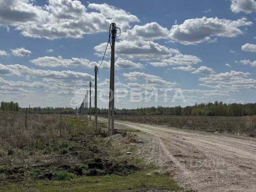 Участок в Тюменская область, Тюменский район, с. Горьковка  (5.0 сот.) - Фото 2