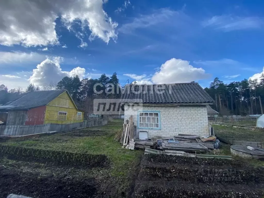 Дом в Брянская область, Сельцо  (20 м) - Фото 1