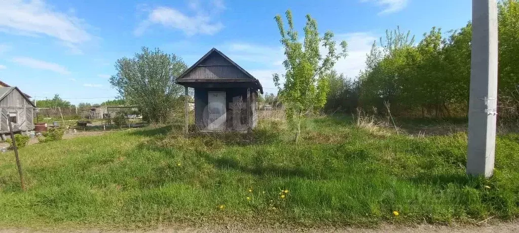 Участок в Хабаровский край, Хабаровский район, Черемушки СНТ  (6.0 ... - Фото 2
