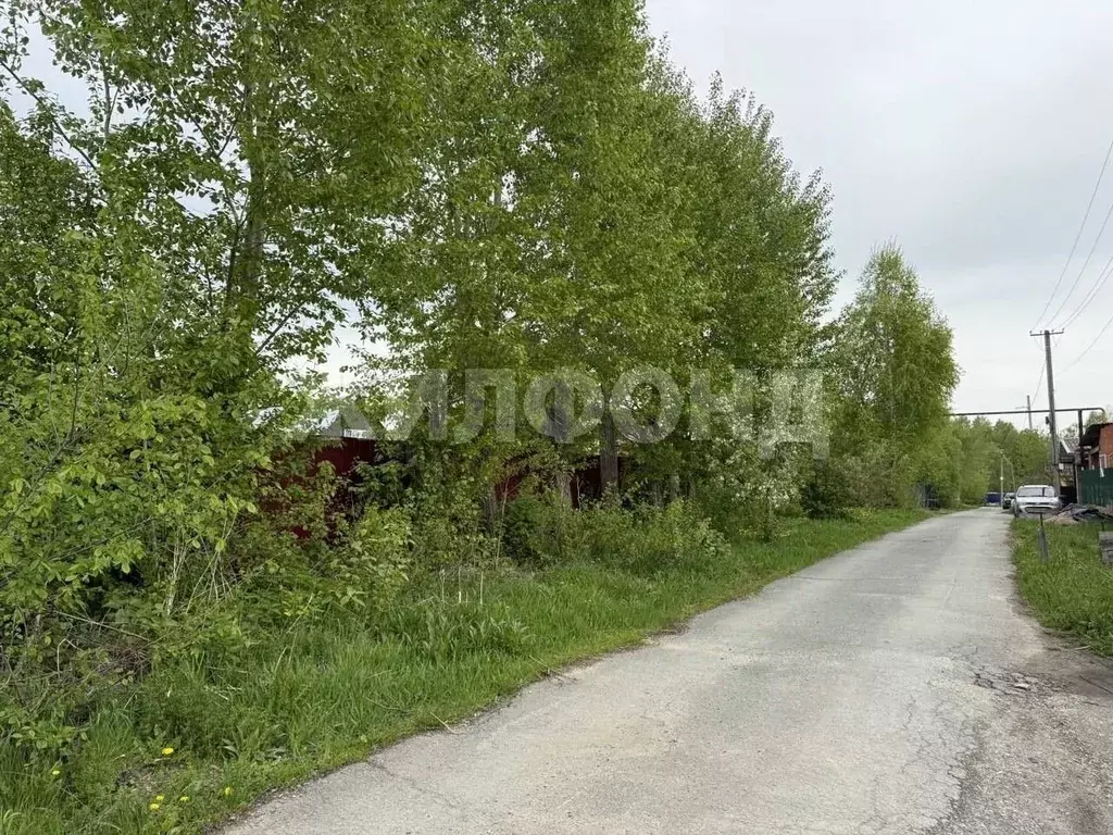 Участок в Новосибирская область, Новосибирский район, Станционный ... - Фото 1