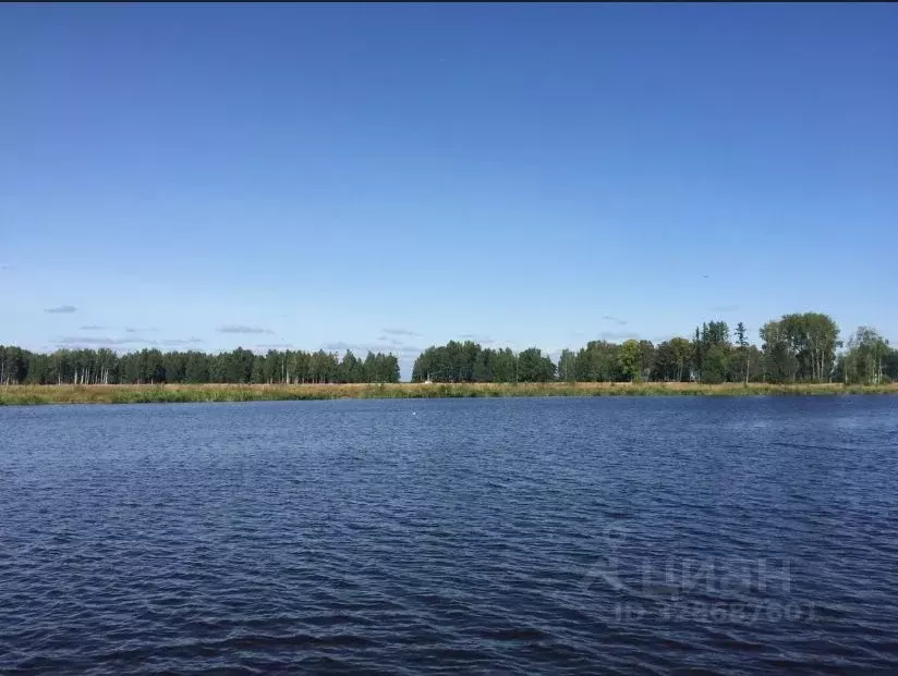 Участок в Тверская область, Конаковский муниципальный округ, Парадайз ... - Фото 1
