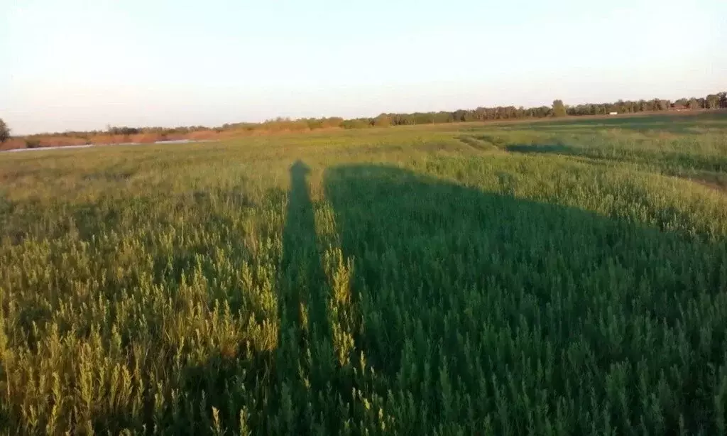 Участок в Астраханская область, городское поселение Харабали (182 м) - Фото 1