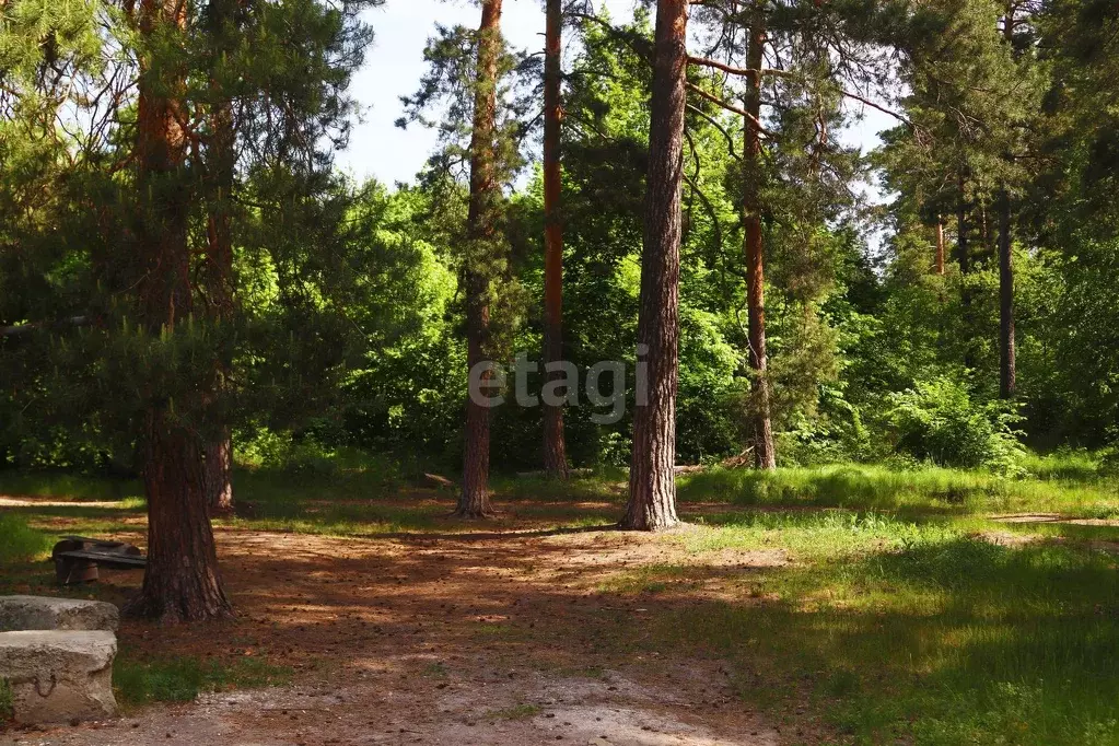 Участок, 11.7 сот., поселения (ижс) - Фото 1