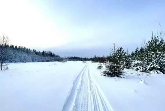 Участок в Шиховское сельское поселение (15.4 м) - Фото 0