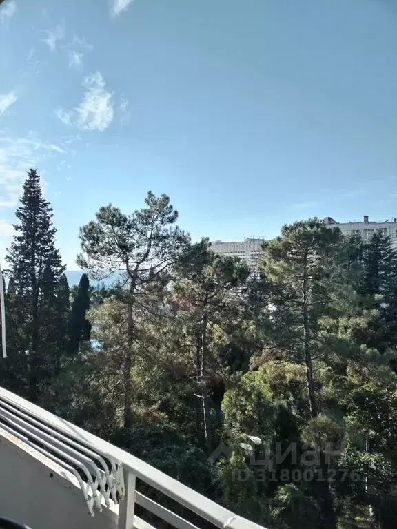 Комната Краснодарский край, Сочи Курортный просп., 75к1 - Фото 0