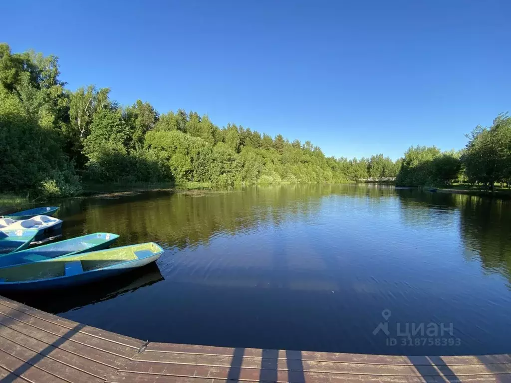 Дом в Московская область, Пушкинский городской округ, Визендорф кп  ... - Фото 1
