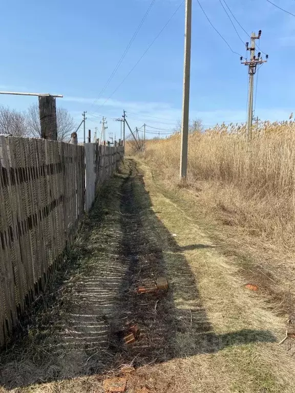 Участок в Саратовская область, пос. Дубки ул. Фабричная, 19 (11.5 ... - Фото 0