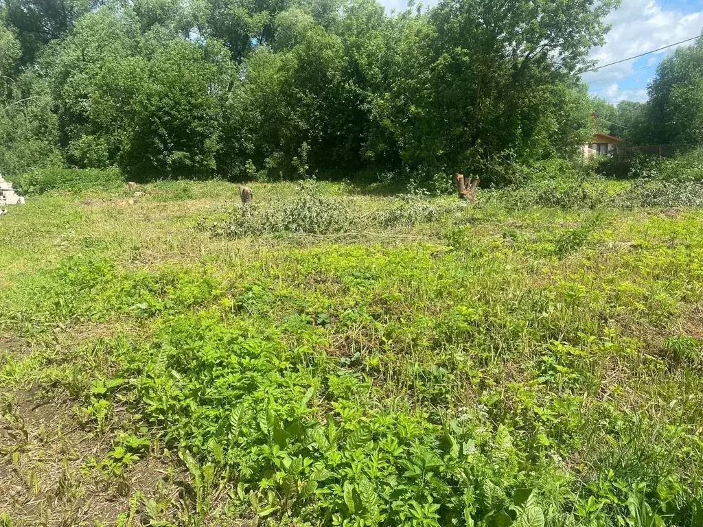 Участок в Владимирская область, Суздальский район, Новоалександровское ... - Фото 1