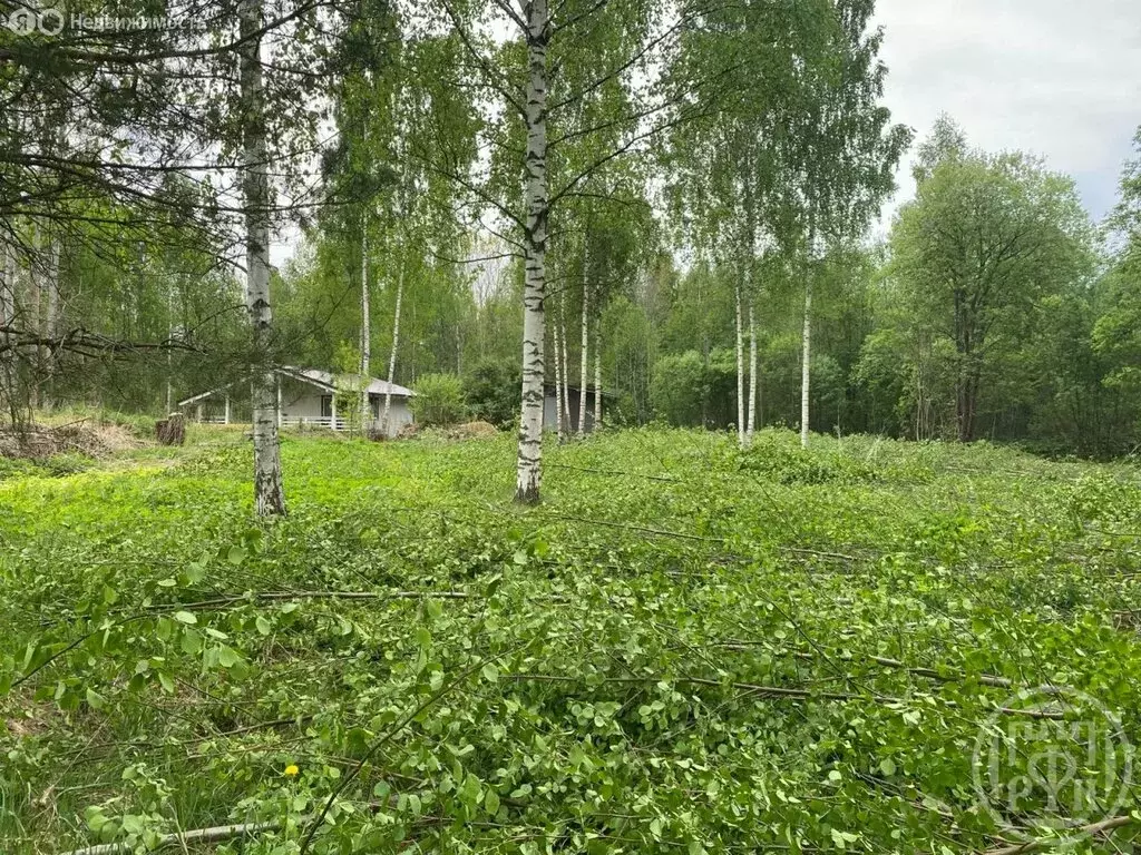 Участок в Заклинское сельское поселение, деревня Бетково (15 м) - Фото 1