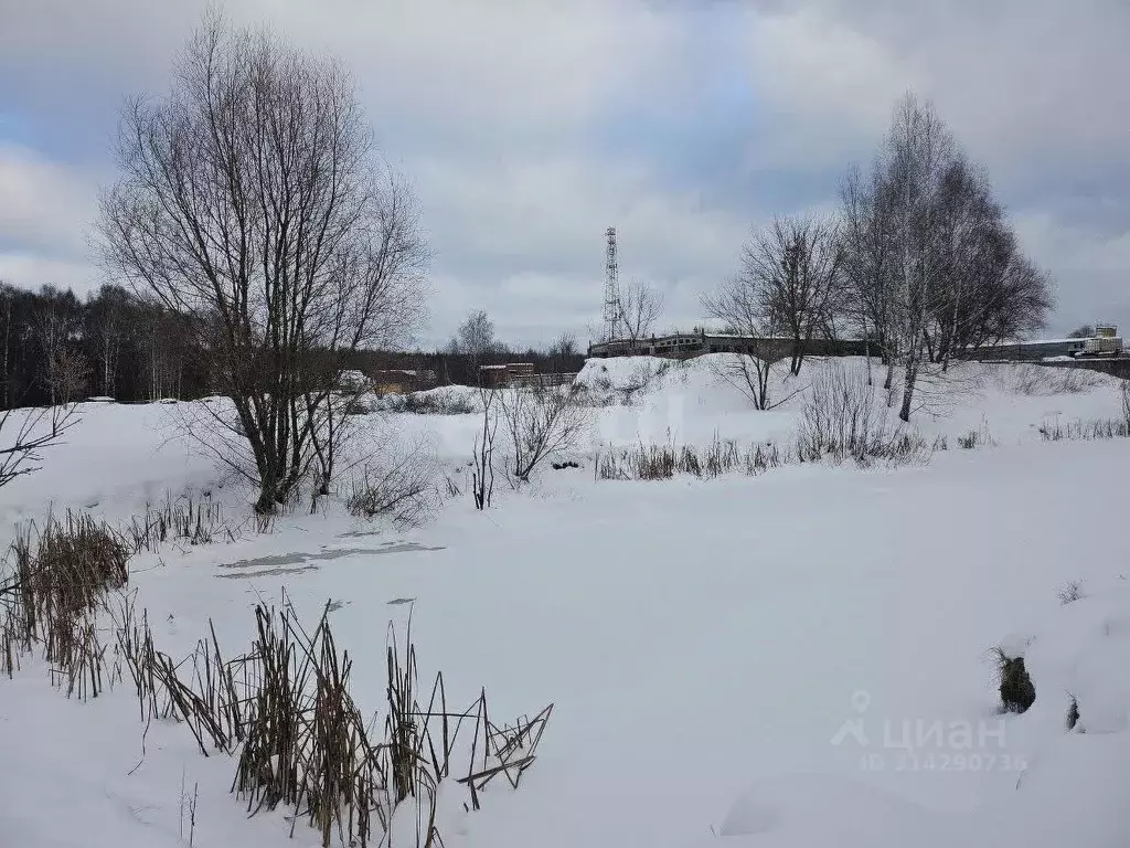Участок в Московская область, Одинцовский городской округ, д. Малые ... - Фото 0