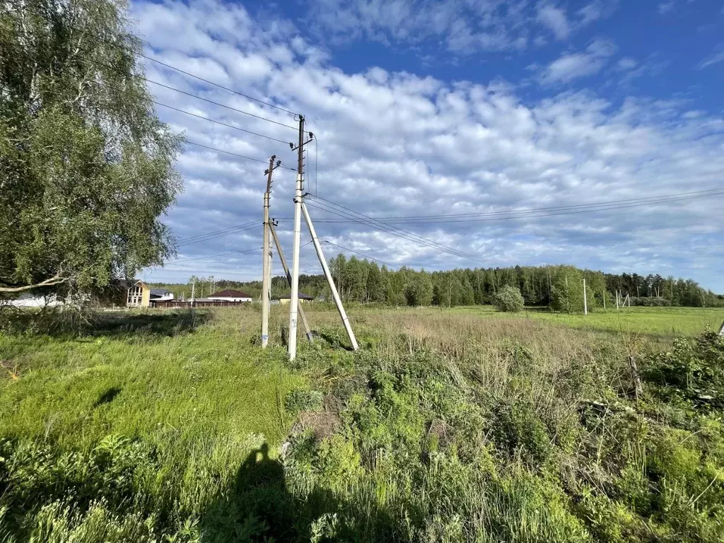 Участок в Московская область, Щелково городской округ, Волхов СНТ  ... - Фото 1