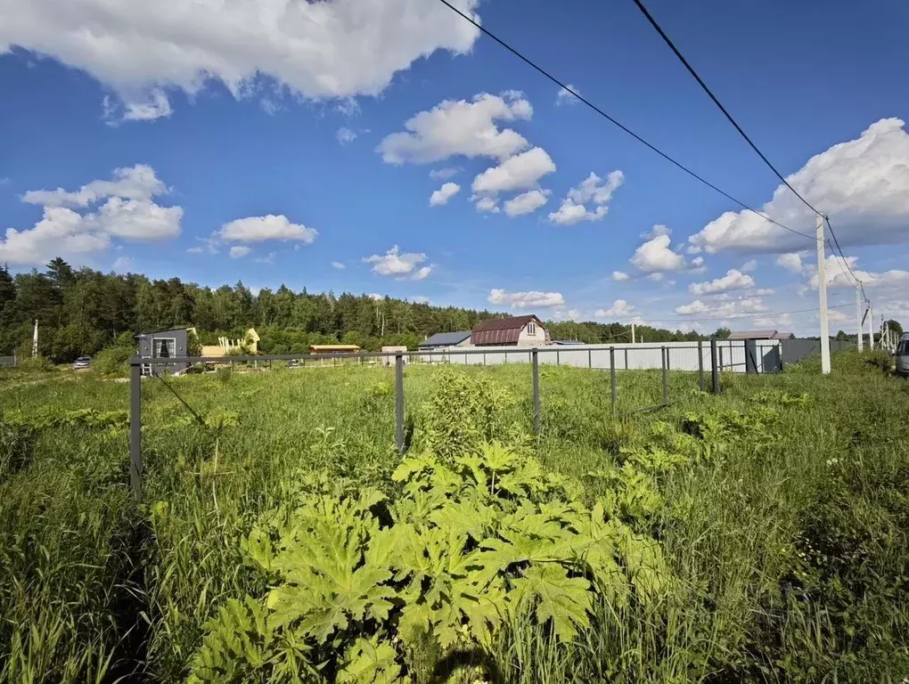 Участок в Московская область, Щелково городской округ, Лесной кв-л ... - Фото 2