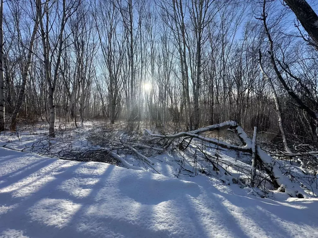 Участок 10 сот. (ИЖС) - Фото 1