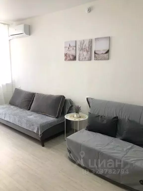 Студия Краснодарский край, Анапа ш. Супсехское, 39к16 (28.0 м) - Фото 2