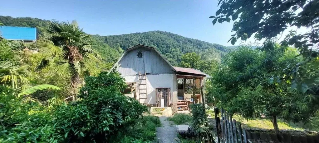 Дом в Краснодарский край, Сочи городской округ, с. Прогресс ул. ... - Фото 1