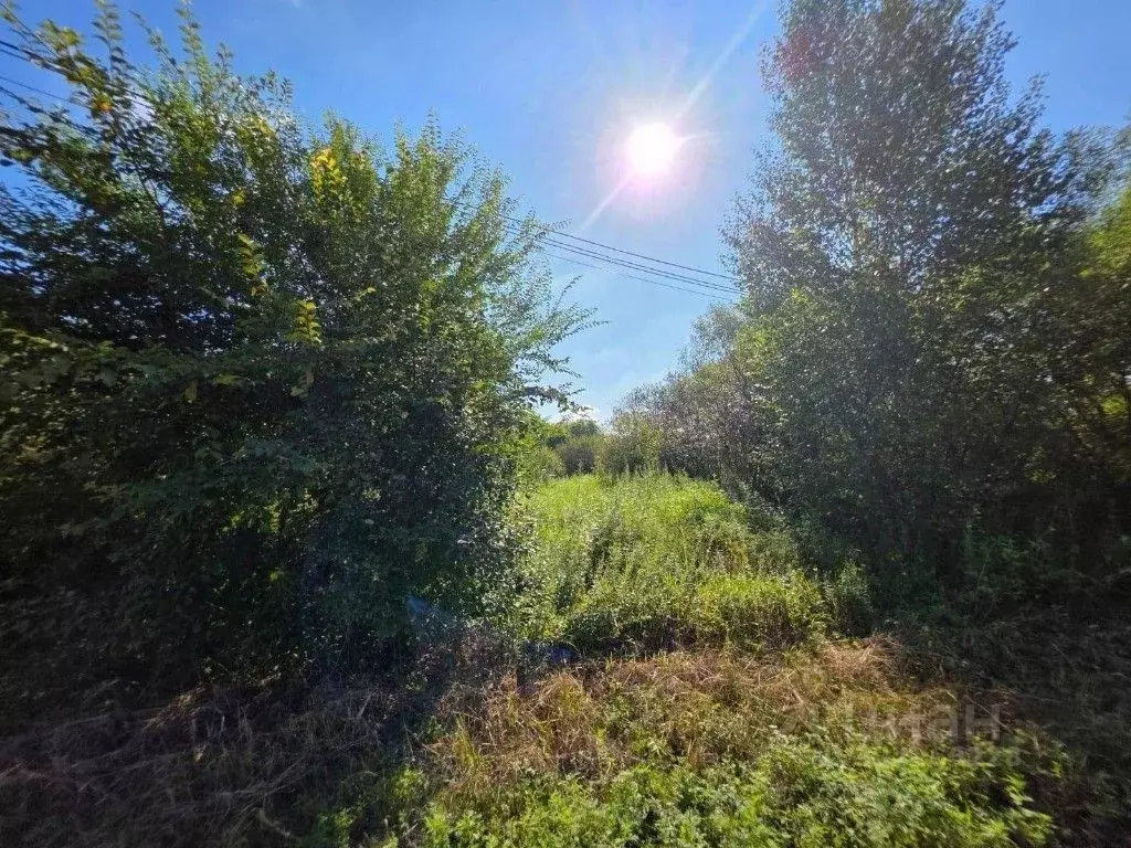 Участок в Приморский край, Спасский район, с. Чкаловское ул. ... - Фото 2