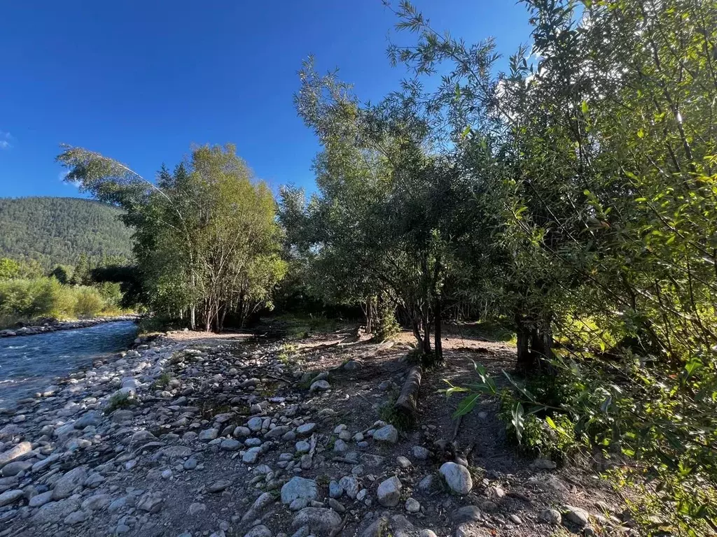 Участок в Алтай, Усть-Коксинский район, с. Мульта  (130.0 сот.) - Фото 2