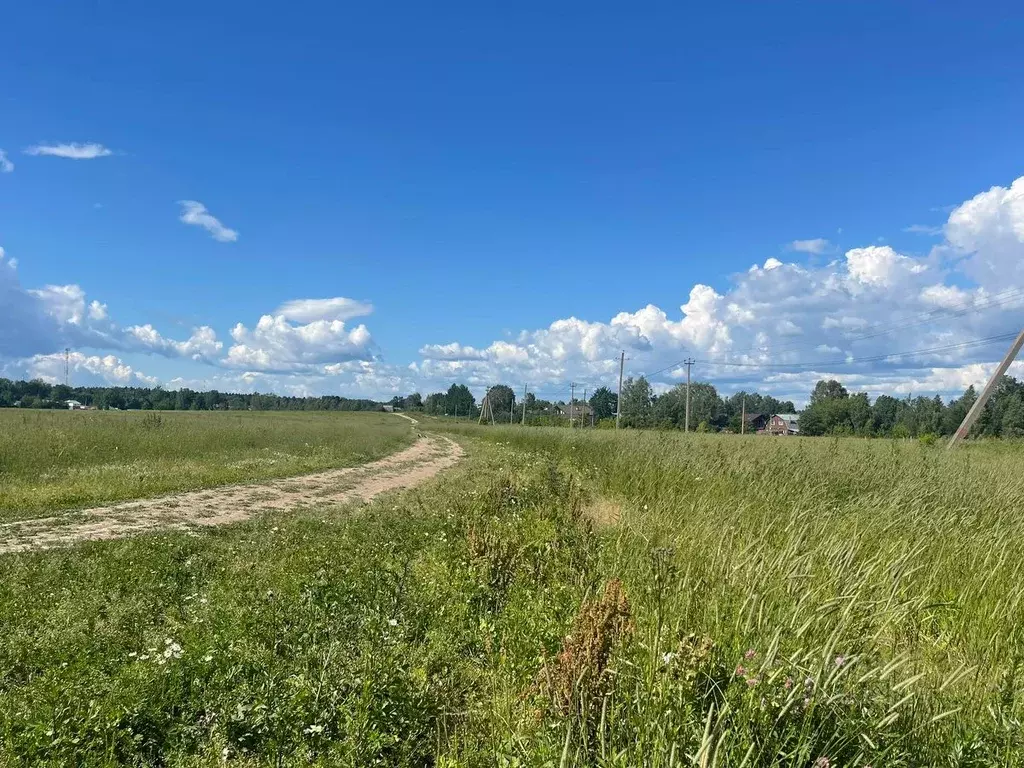 Участок в Московская область, Пушкинский городской округ, д. Василево  ... - Фото 1