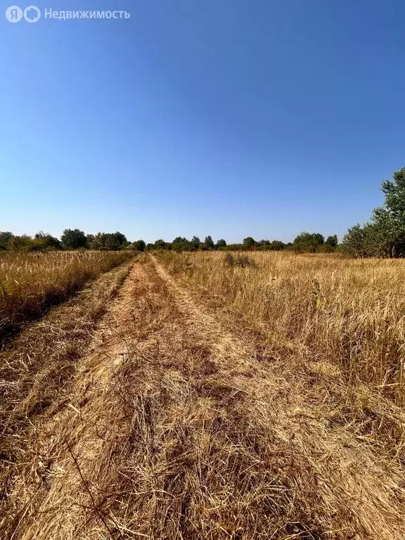 Участок в Северский район, Новодмитриевское сельское поселение, ... - Фото 0
