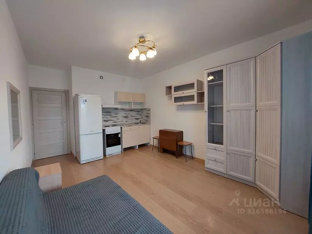 Студия Санкт-Петербург аллея Арцеуловская, 23к1 (25.4 м) - Фото 1