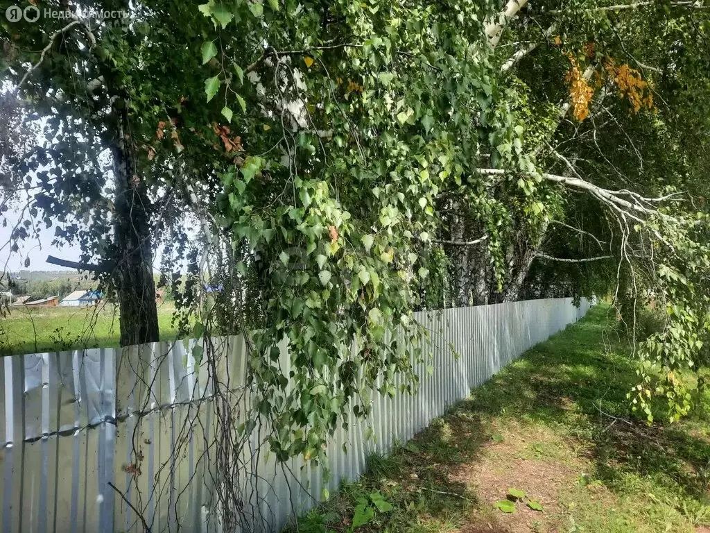 Участок в Алтайское, улица Зелёный Клин (200 м) - Фото 2