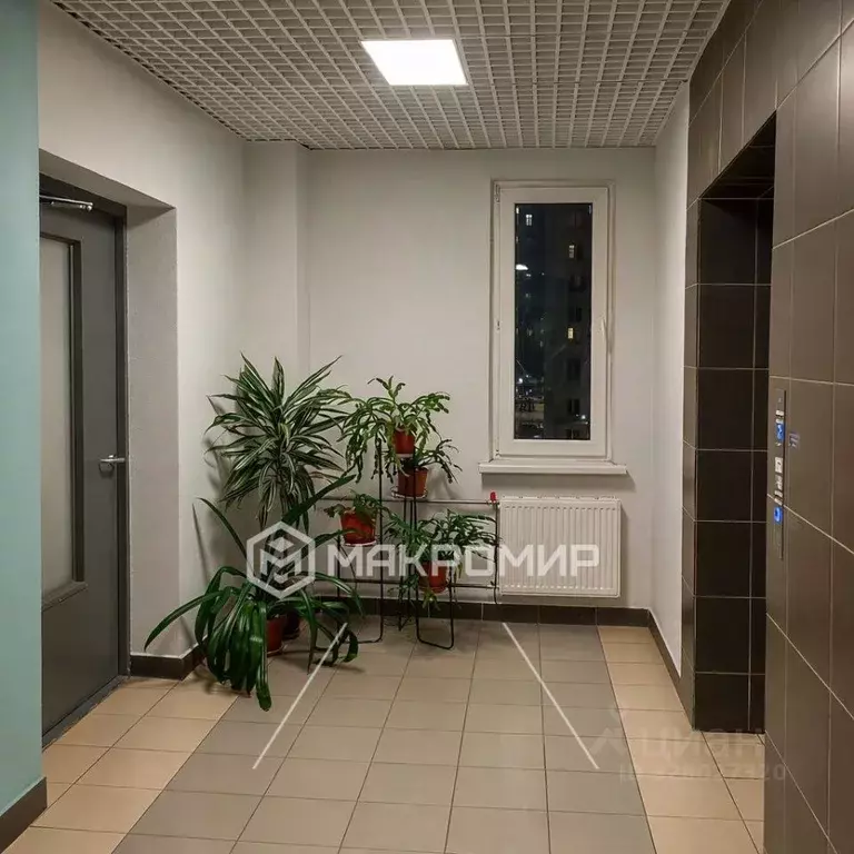 1-к кв. Санкт-Петербург аллея Евгения Шварца, 5 (42.0 м) - Фото 2