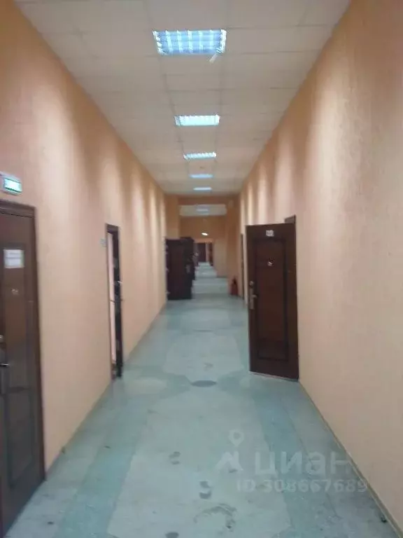 Офис в Новосибирская область, Новосибирск просп. Димитрова, 7 (34 м) - Фото 2