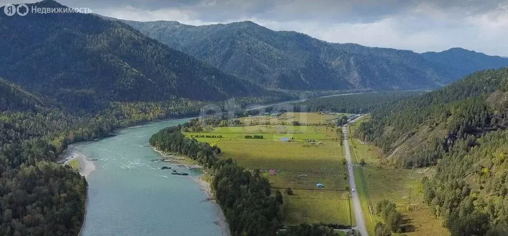 Участок в Чемальский район, село Чепош (13 м) - Фото 2
