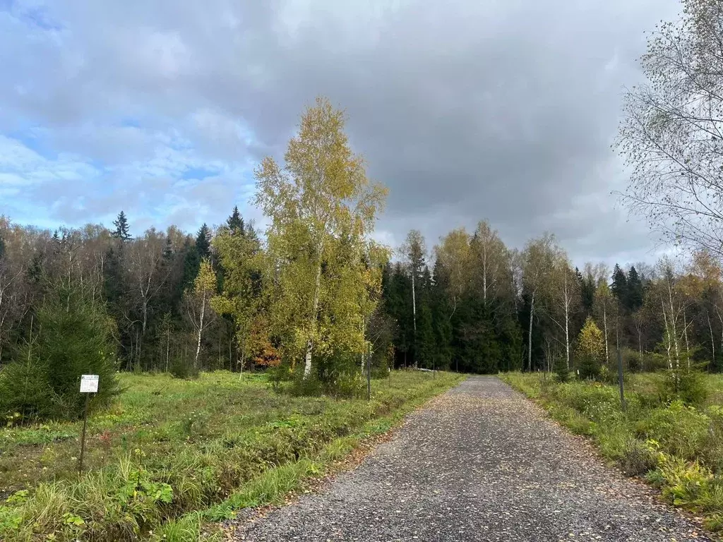 Участок в Московская область, Солнечногорск городской округ, д. ... - Фото 1