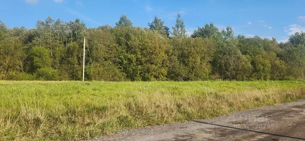 Участок в Ленинградская область, Ломоносовский район, Виллозское ... - Фото 1