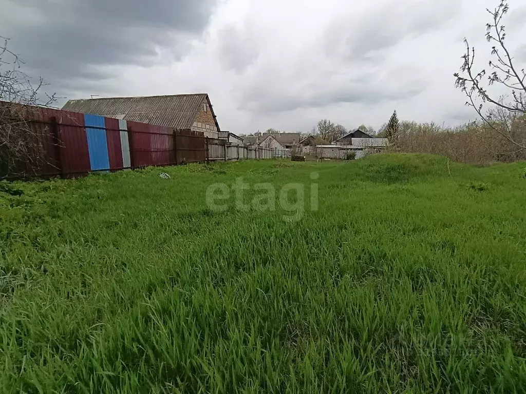 Участок в Белгородская область, Чернянский район, Русскохаланское ... - Фото 1