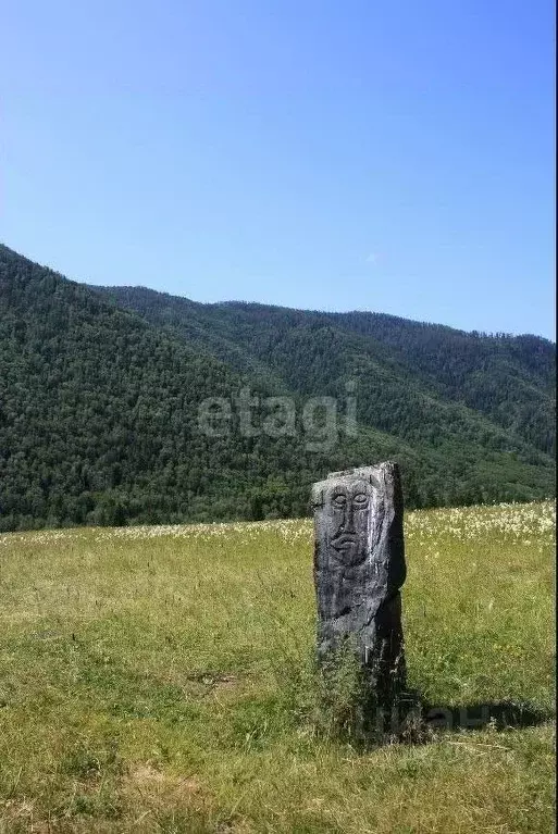 Участок в Алтай, Усть-Коксинский район, с. Катанда  (1270.8 сот.) - Фото 1