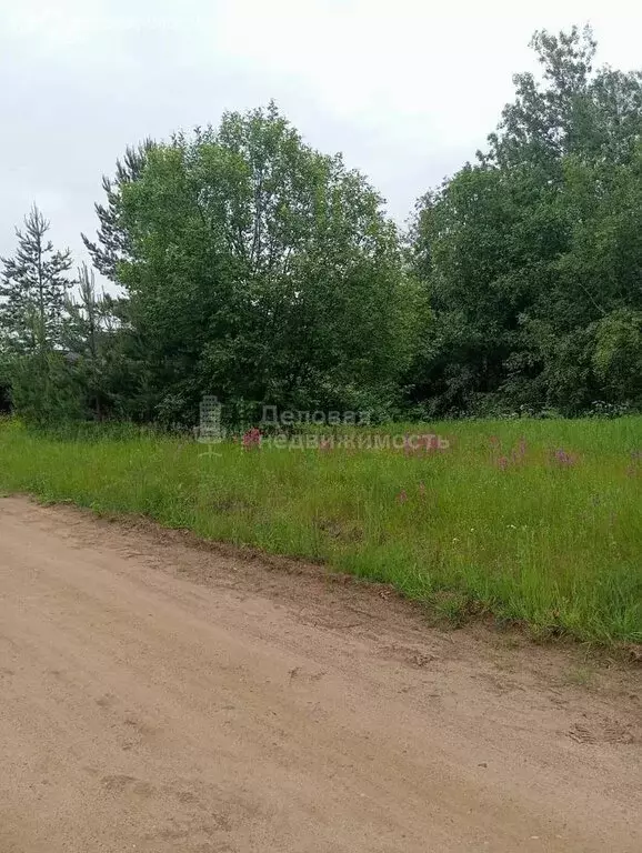Участок в Валдай, Северная улица, 18 (10 м) - Фото 1