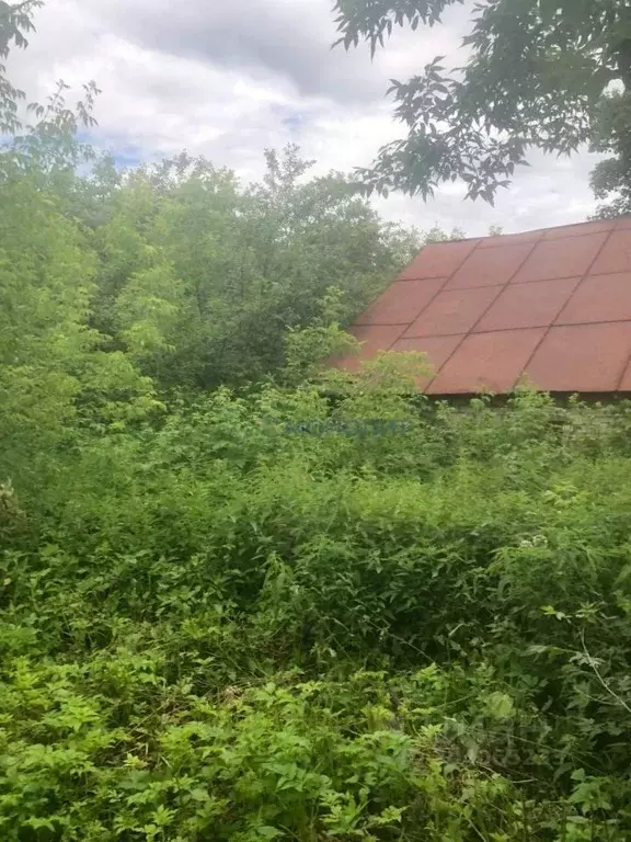 Участок в Нижегородская область, Кстовский муниципальный округ, с. ... - Фото 0