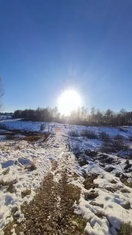 Участок в Новосибирская область, Новосибирский район, Каменский ... - Фото 1