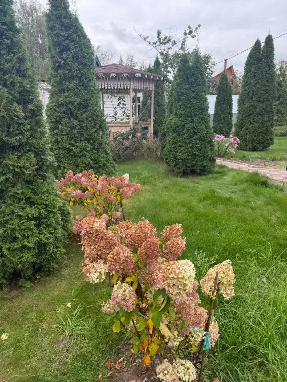 Продается дом в СНТ Раменье - Фото 2