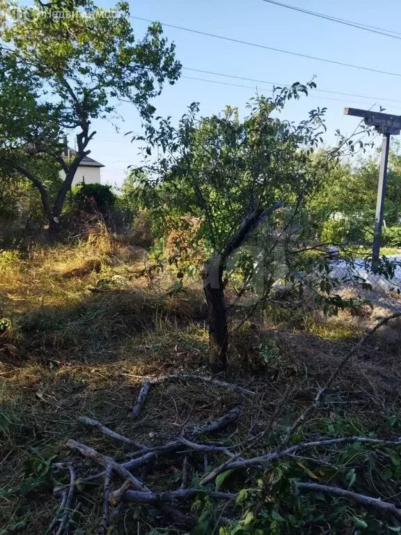 Дом в посёлок Иноземцево, садовые участки Машук-2, Дачная улица (23 м) - Фото 2