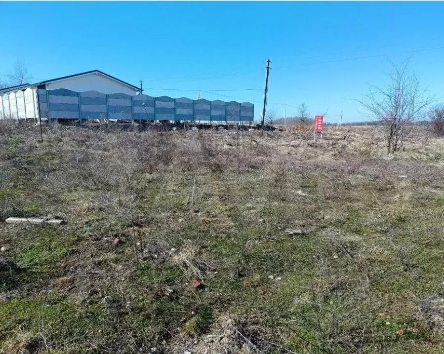 Участок в Калининградская область, Гурьевский муниципальный округ, ... - Фото 1