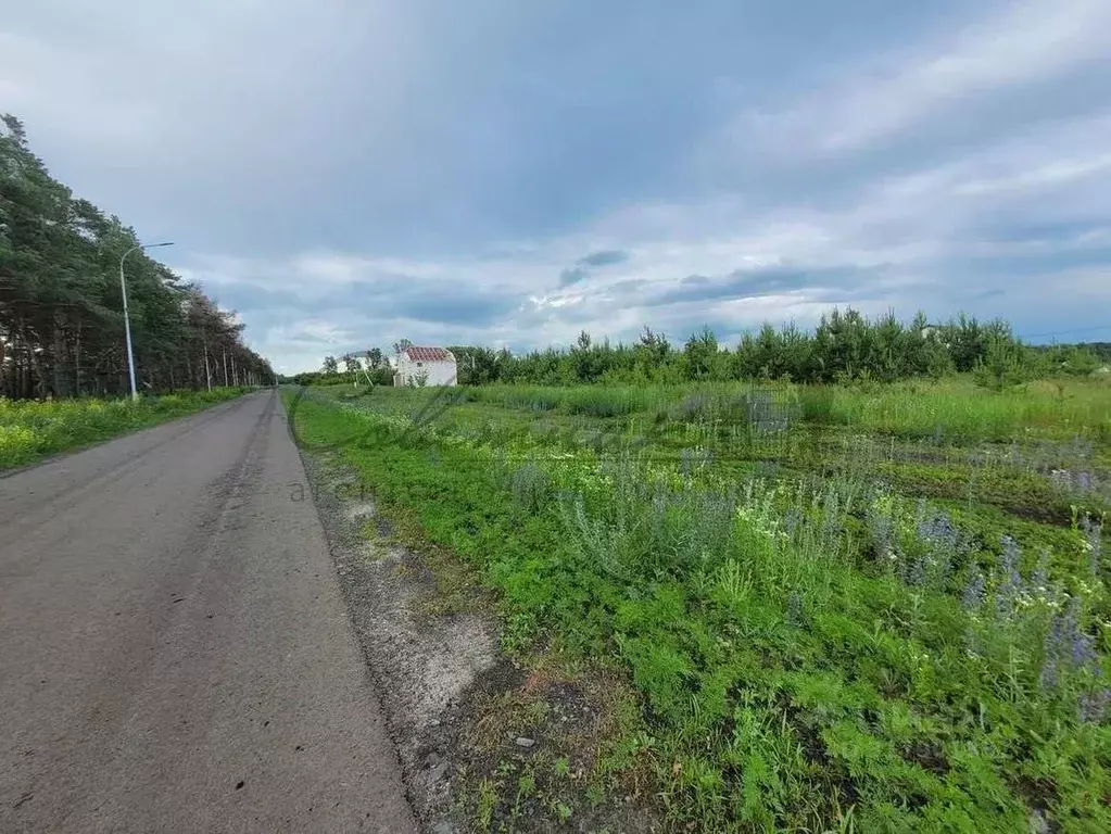Участок в Белгородская область, Старый Оскол Ладушки мкр,  (15.0 сот.) - Фото 1